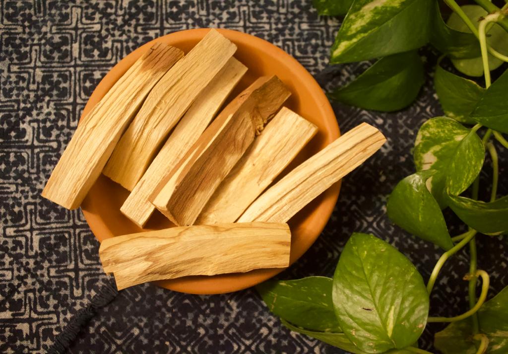 Palo Santo Wood | Mexico
