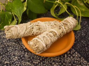 White Sage Herb Bundle | Smudge Stick