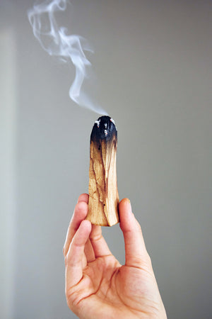 Palo Santo Wood | Mexico - The Nok Apothecary