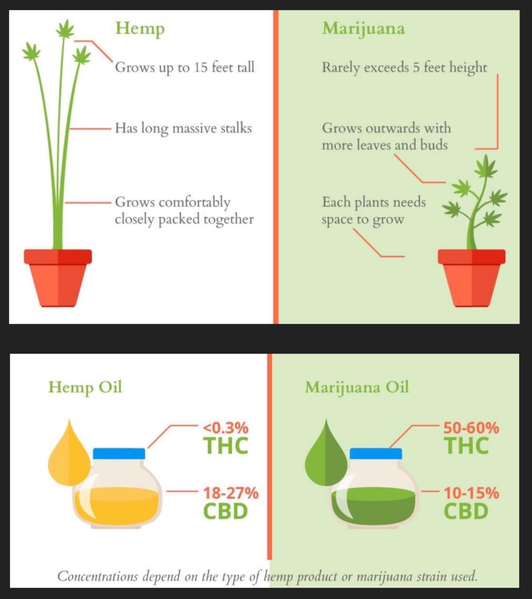Hemp Seed Oil | 420 - The Nok Apothecary