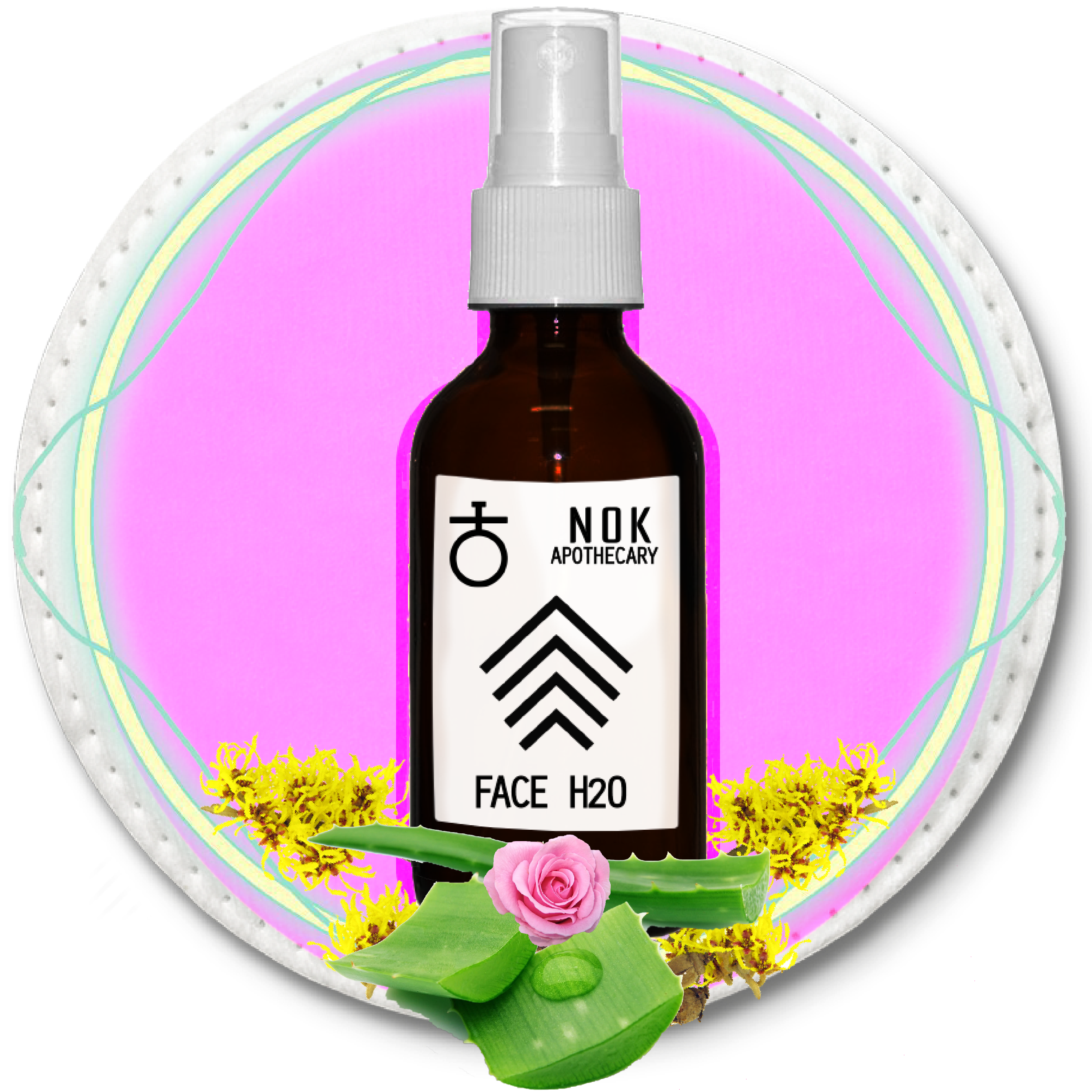 FACE H20 Aloe Toner | Normal + Balanced Skin - The Nok Apothecary