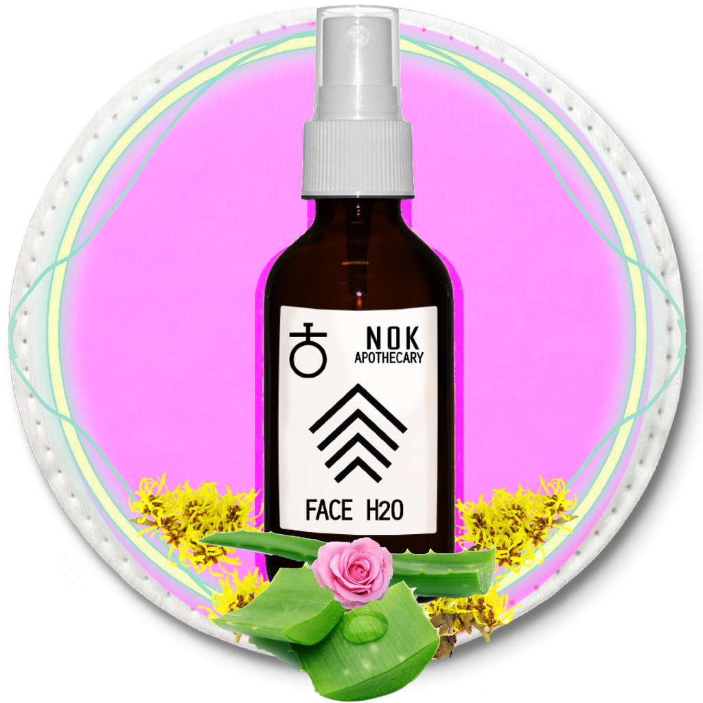 FACE H20 Aloe Toner | Normal + Balanced Skin - The Nok Apothecary