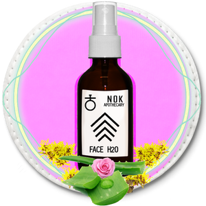 FACE H20 Aloe Toner | Normal + Balanced Skin - The Nok Apothecary
