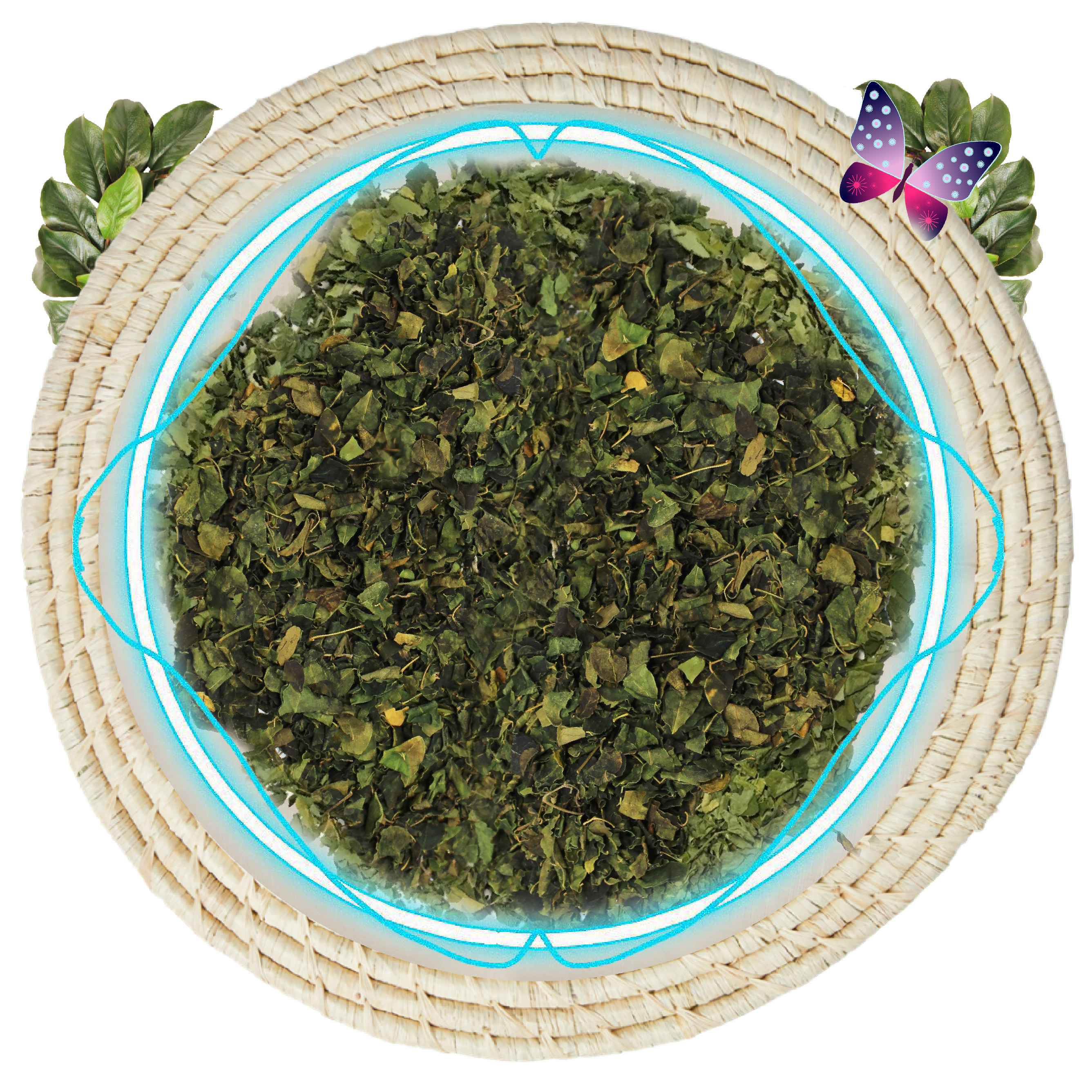 Organic Moringa Leaves | Nigeria - The Nok Apothecary