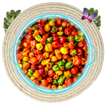 Nsukka Chilli Peppers | Nigeria - The Nok Apothecary