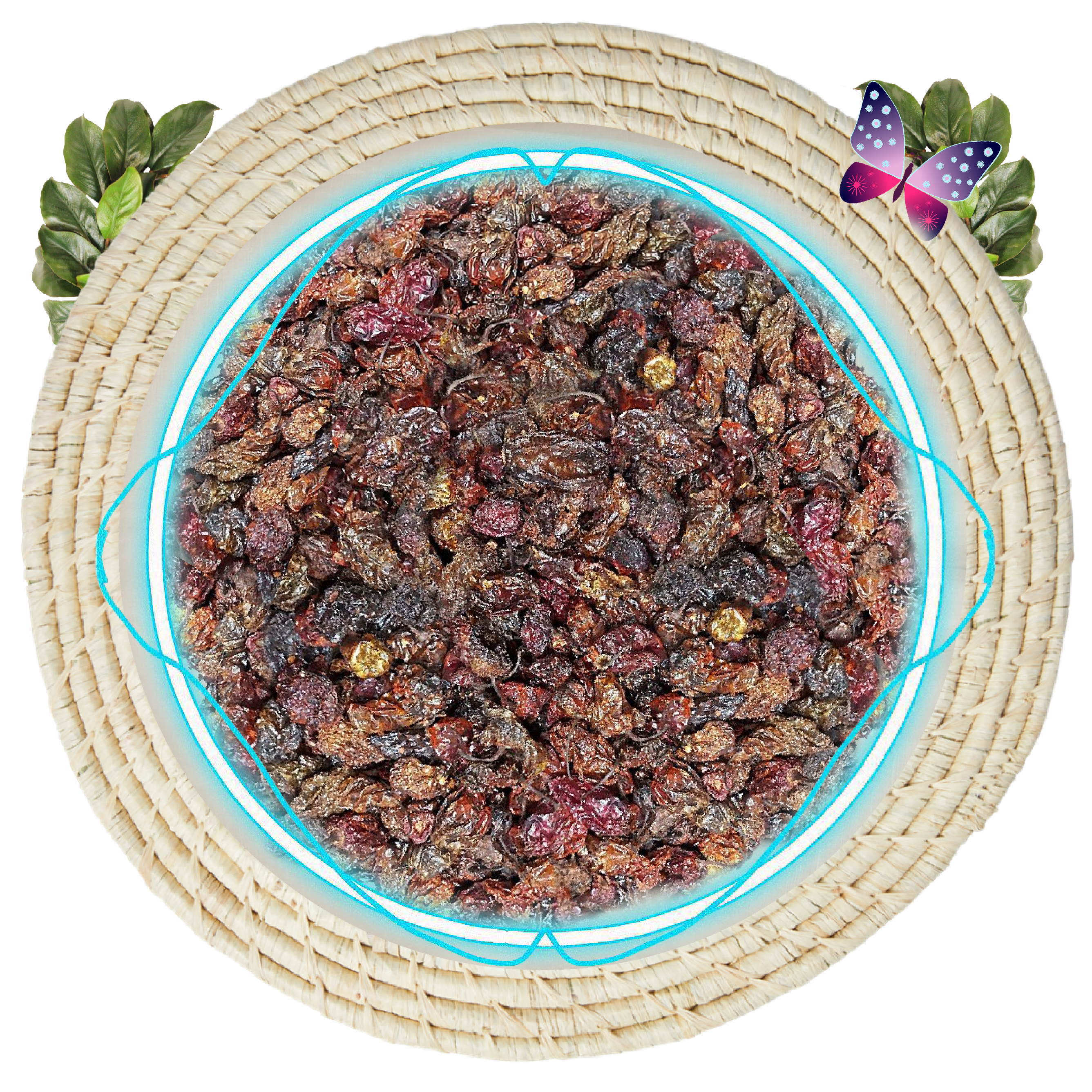 Shitor Din Chilli Peppers | Ghana - The Nok Apothecary